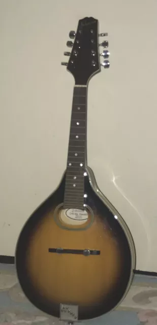 Johnson oval hole mandolin MA-110