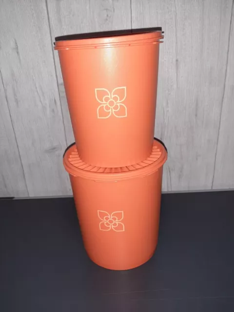 (2) Tupperware Lot de 2 grandes boîtes de conservation soleil en  bon état