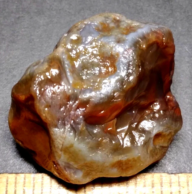Lake Superior Agate 0.85 oz 'EXCELLENT NODULE' Rough Minnesota Gemstone