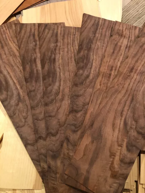 24 sheets WALNUT BURL Veneer 19.75" x 5.75" crotch