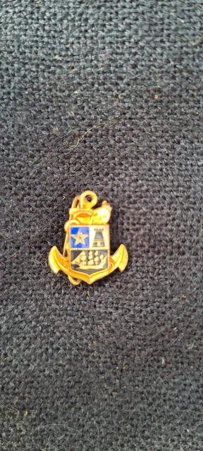 Insigne AMICALE DES VRAIS PECHEURS AVP Pêche Poisson ABDE
