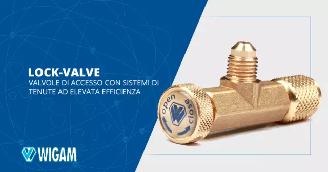 Valvola Di Accesso Lock-Valve 5/16 Wigam 05059050001