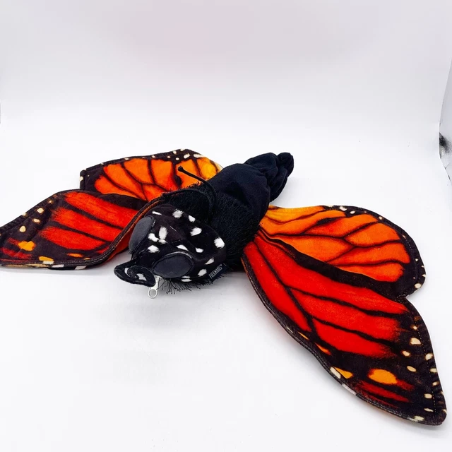 Monarch Butterfly Life Cycle Puppet Folkmanis vrogue.co