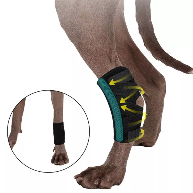 Fournitures pour animaux de compagnie Bretelles de jambe de chien