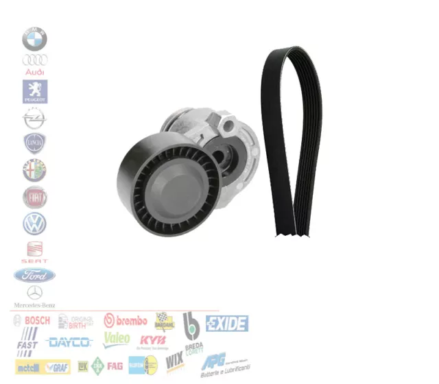 Set Courroie Tendeur Nissan Juke Cube Renault Captur I Clio Dacia Duster 1.5