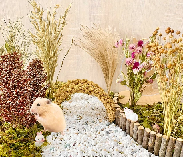 Hamster Bedding Natural Hamster Bedding Flowers Herbs Cereal Grain for House Ca