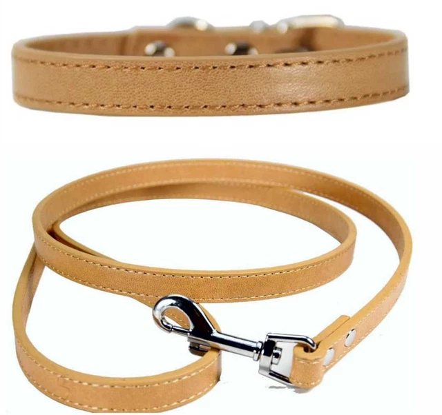 Vibrant Leather Dog Collar & Lead Combo Set for Puppy, Dogs Small Medium & Large Vibrant Leather Dog Collar & Lead Combo Set for Puppy, Dogs Small Medium & Large