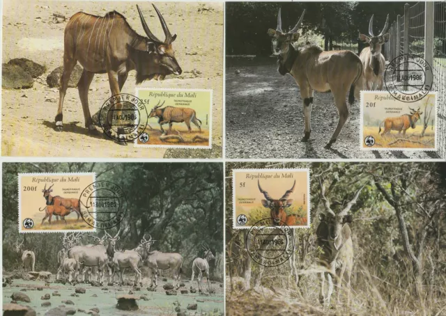 1986 Republique Du Mali Wwf Wildlife 4 Maximum Photo MF74180