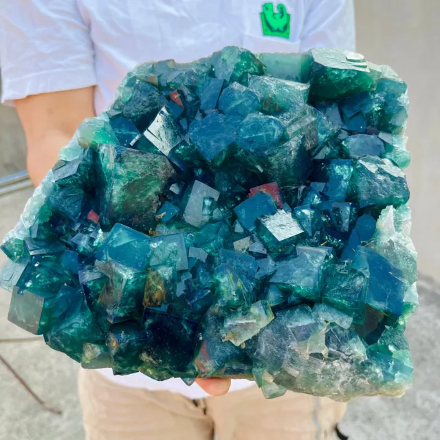 20.6LB Large NATURAL Green Cube FLUORITE Quartz Crystal Cluster Mineral Specimen