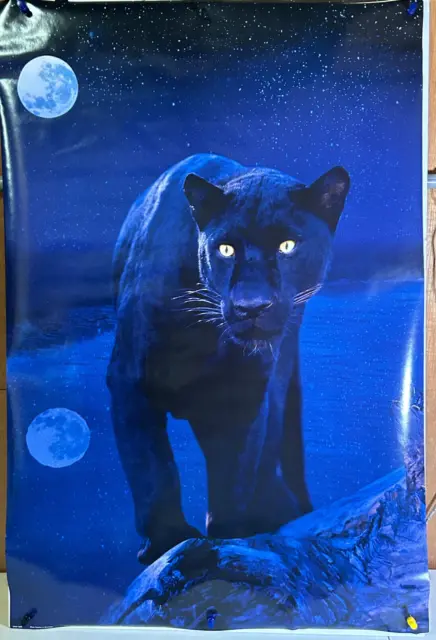 Rolled Black Panther In Moonlight Nature Wildlife Animal 24X36 Poster Eurographs