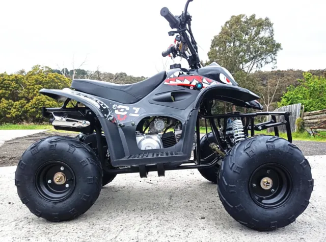 110CC SPORTS AUTO ATV QUAD 4 Wheeler KIDS BLACK