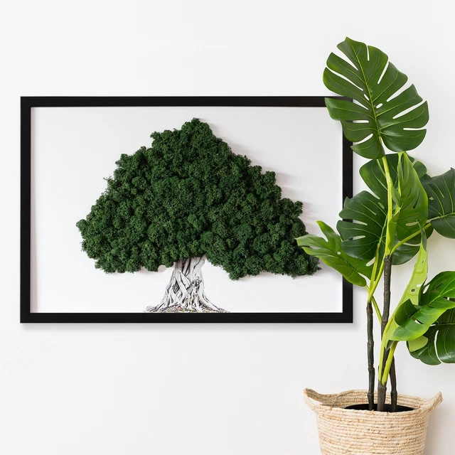 Immagine Muschio Foresta Muschio Cornice MDF nero 60x40 cm- Albero con radici