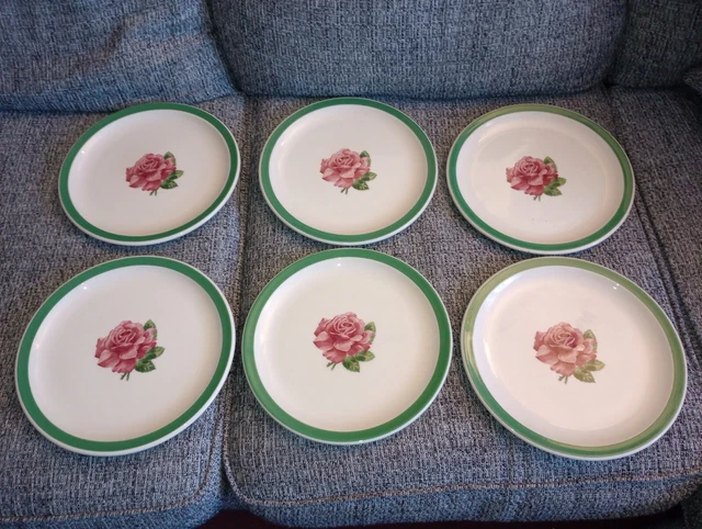 Syracuse China Wild Rose Railroad China Econo Rim Green Rim