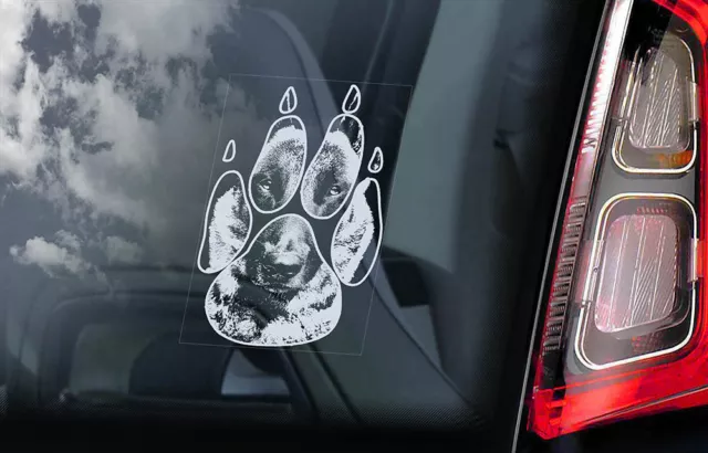 BELGIAN MALINOIS Sticker, Dog Window Decal Car Stickers Gift Bumper Sign - V23