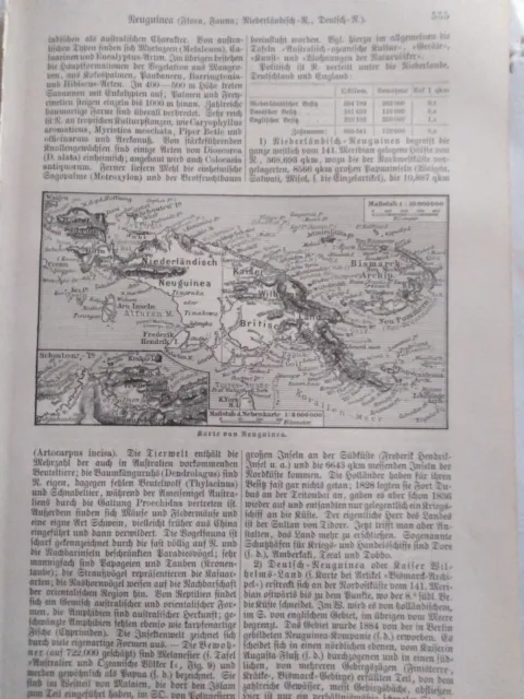 Karte von Neuguinea,Kaiser Wilhelms-Land,+ Beschreibung, Lithographie 1906 -160