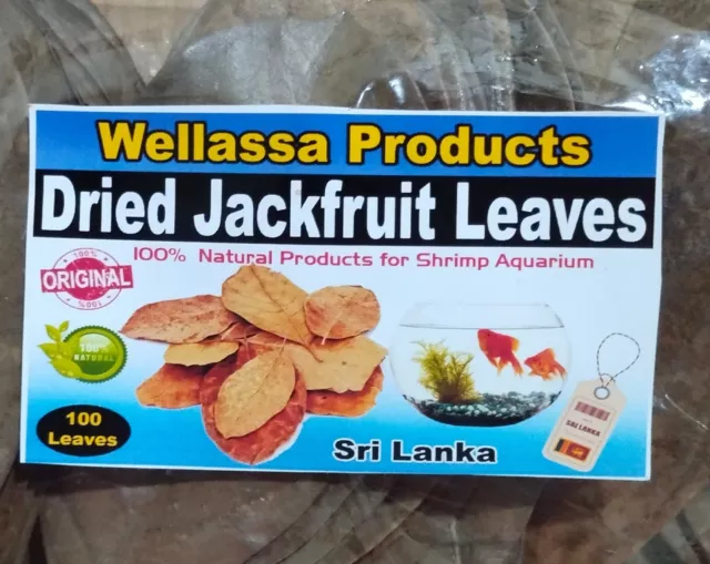 DRIED JACK FRUIT 100 PCs LEAVES Organic Bio Film Shrimp Aquarium Ceylon Natural