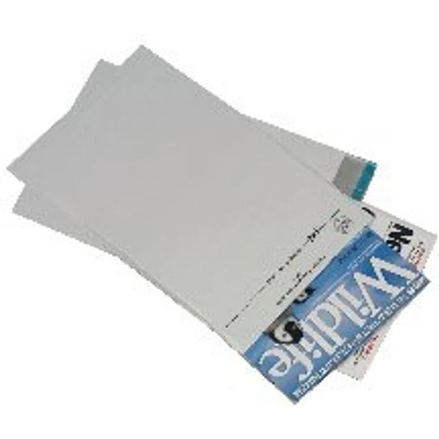 GoSecure Busta Leggera Politene 235x310 mm Confezione Opaca da 100 PB1112
