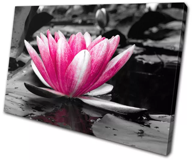 Floral Water Lily Flowers SINGLE CANVAS WALL ART Picture Print VA