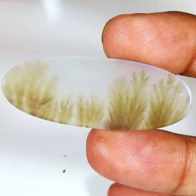 natural SCENIC DENDRITIC AGATE oval shape loose gemstone 21.00 Cts. (17x47x2 mm)