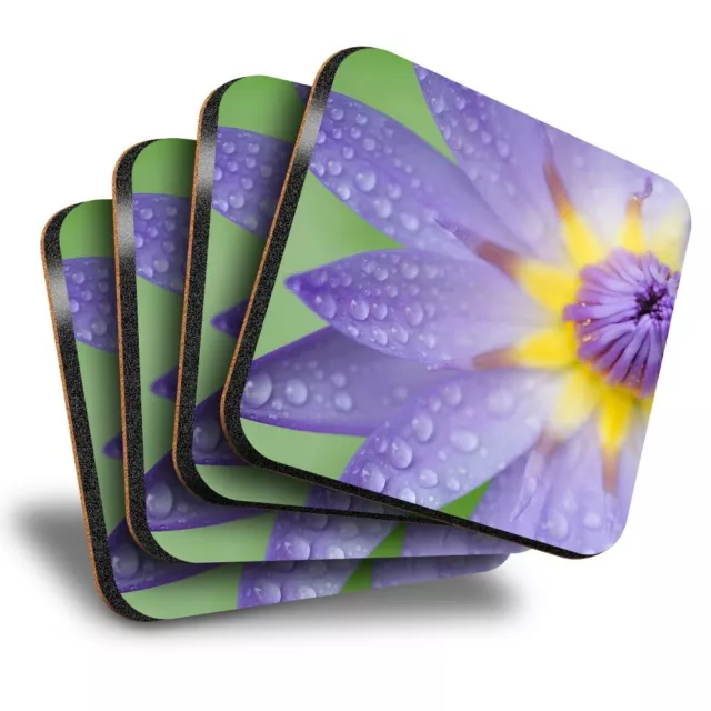 Set of 4 Square Coasters - Pretty Purple Water Lily Petal Flower  #16837