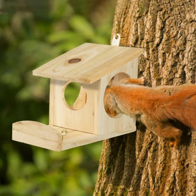 Mangeoire pour écureuil distributeur de nourriture animaux en bois à suspendre 2