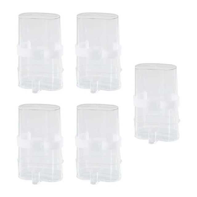 5Pcs Perroquet Chargeur Automatique Boîte de Nourriture Pour oiseaux