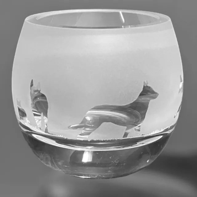 BELGIAN SHEPHERD MALINOIS Boxed Clear Crystal Glass Tea Light Holder