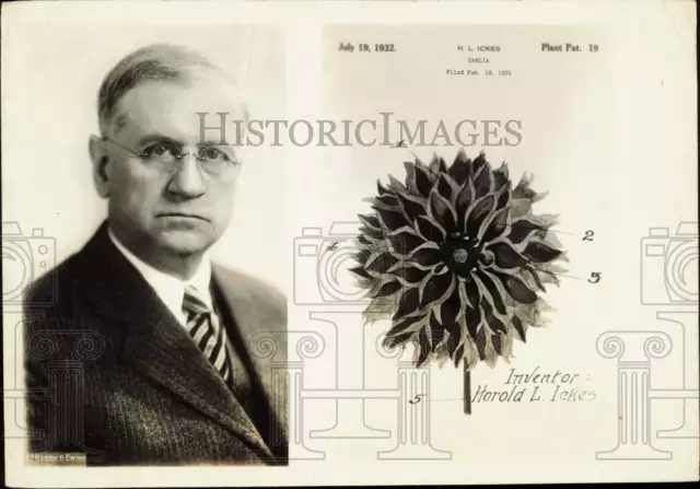 1932 Press Photo Secretary of Interior Harold L. Ickes invents new dahlia flower