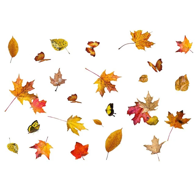 Gute Qualität Aufkleber Herbst Kompakt PVC Für Gespiegelte Plastikobjekte