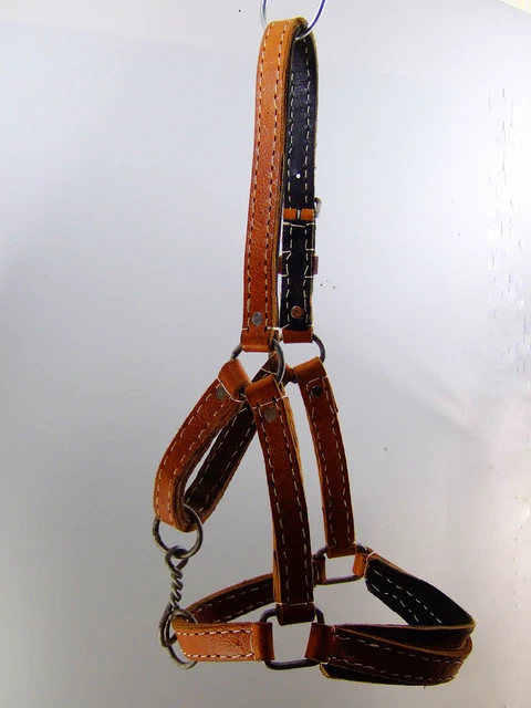 Choix d'un licol en cuir mon cheval doré