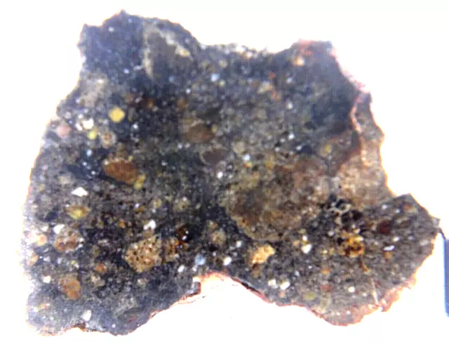 Meteorite NWA 15788 HED ACHONDRITE DIOGENITE POLYMICT BRECCIA METEORITE 24 GRAM