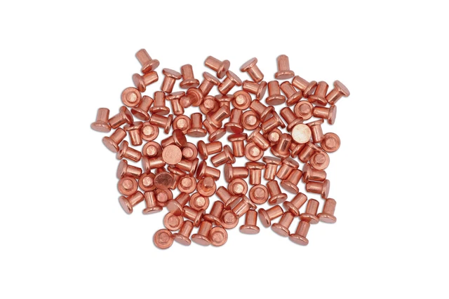 Pro Tec Spr Rivets POWER-TEC BORDURE RIVETS 3 x 4.5mm 100pc 92619 EUR 21,28 - PicClick FR