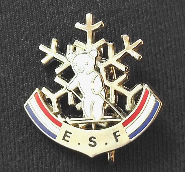 BROCHE DE SKI / Esf Club Garolou / Insigne Nouvelle Version Medaille Brevet EUR 20,00 - FR