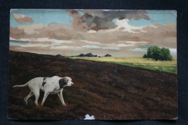 alte Künstler AK ca 1910 Englischer Fuchshund Postkarte DOG Foxhound Jagdhund