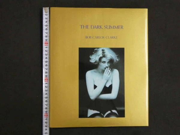 BOB CARLOS CLARKE - The Dark Summer (1st Edition 1985