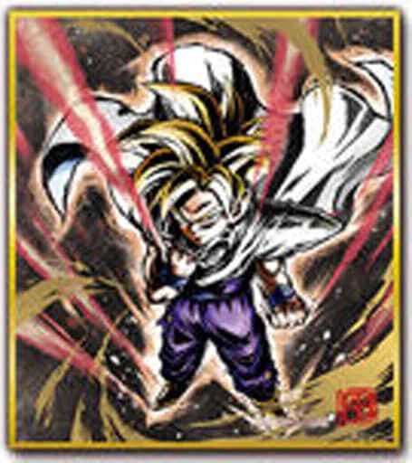 DRAGON BALL GRAND Son Goku Shikishi Carte Enthousiaste Jouet Collection