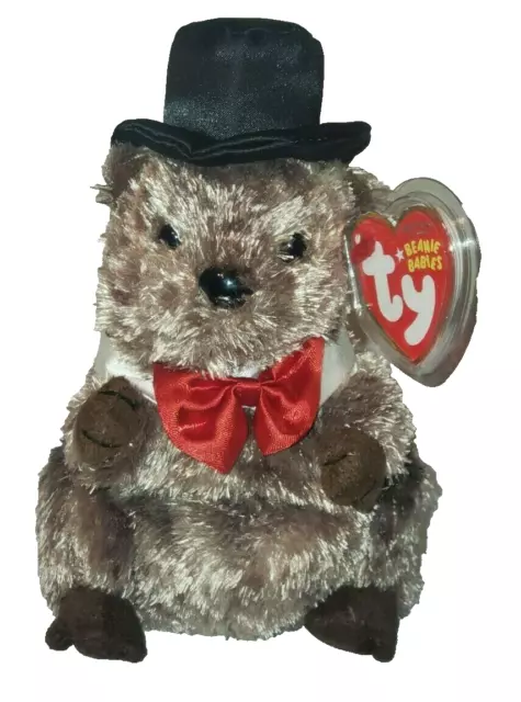Ty Beanie Baby - PUNXSUTAWNEY PHIL 2008 the Groundhog (COC PA Exclusive) MWMT