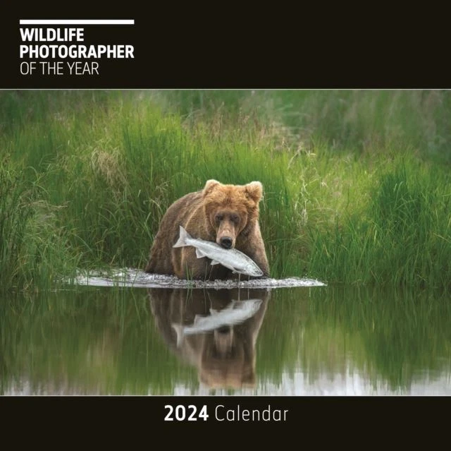 WILDLIFE PHOTOGRAPHER OF the Year 2024 Square Wall Calendar 12 x 12 13