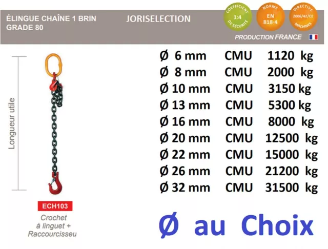 Elingue chaîne de levage de  Ø  6 à   Ø 32 mm + CROCHET A LINGUET +RACOURCISSEUR