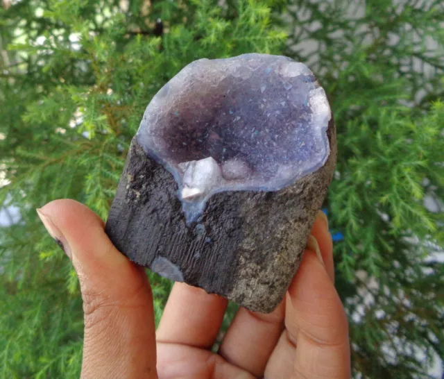 APOPHYLLITE CRYSTALS In AMYTHST Geode Minerals Specimen #F7