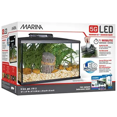 5 Gallon (19 L) LED Aquarium Kit – Ideal for Beginner Aquarists and New Fish-...