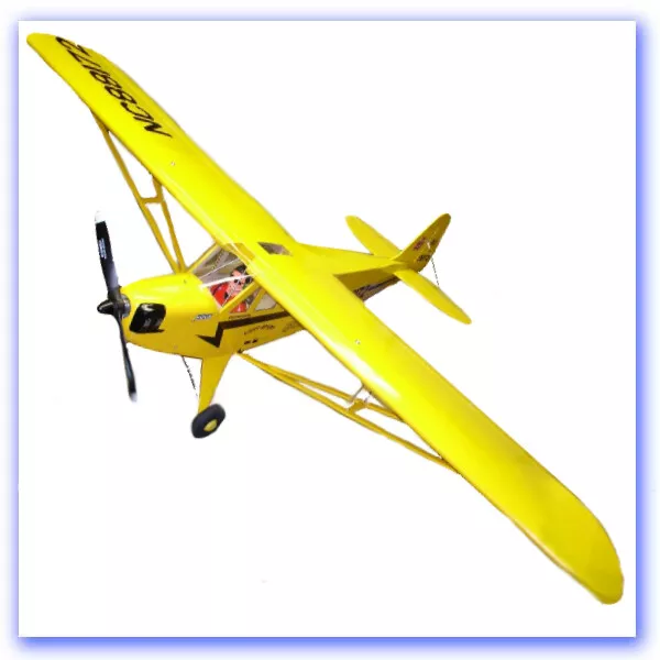 Seagull piper store cub