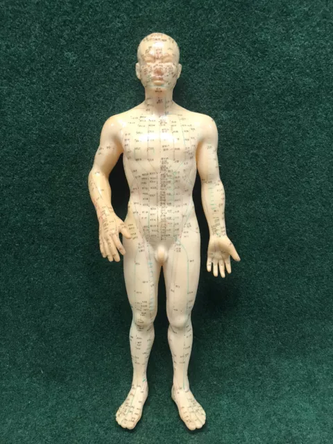 Muñeca modelo masculino de acupuntura de colección notación china