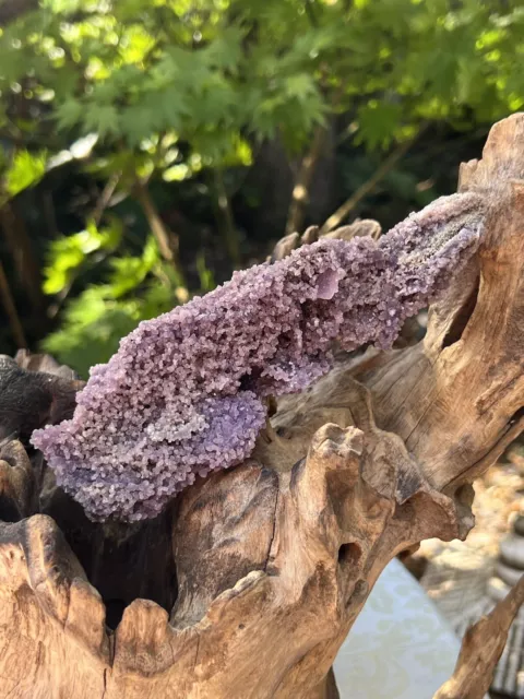 Grape Agate Purple Biotrydial Druzy Specimen 317g 340  AAA+