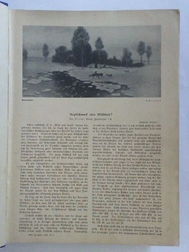 Wild und Hund: XXXV. Jahrgang 1929, Nr. 2 bis 52 zusammen in einem Band