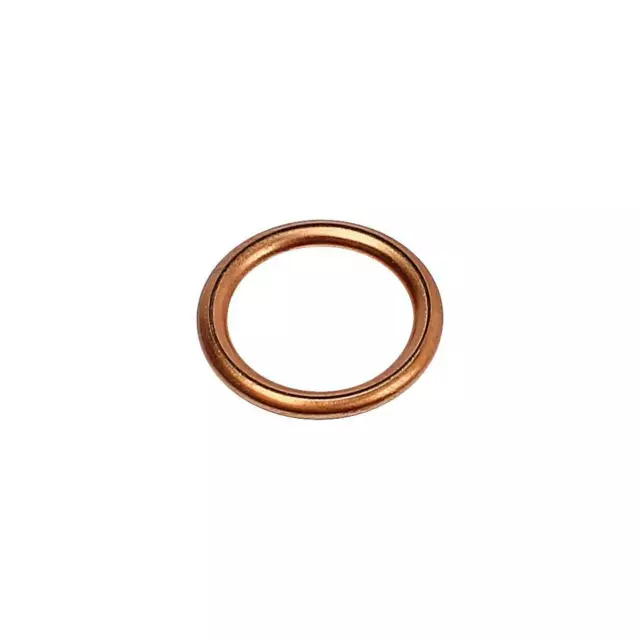 100 x Dichtring DT Spare Parts 6.24335 Dichtungsring d 16 mm D 22 mm S 2 mm