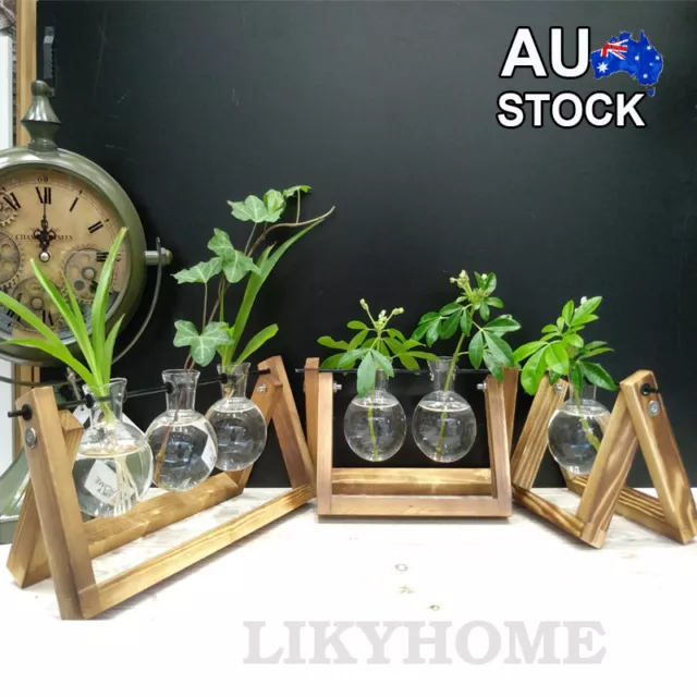 Wooden Stand Hanging Glass Vase Hydroponics Terrarium Container Pot Home Decor