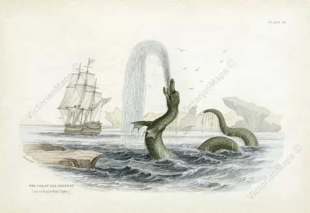 Great Sea Serpent dragon monster antique Victorian print Jardine 1833 art poster