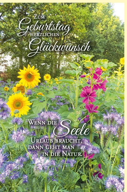 GEBURTSTAGSKARTE SOMMER AUF dem Land Blumen Spruch Natur mit Umschlag