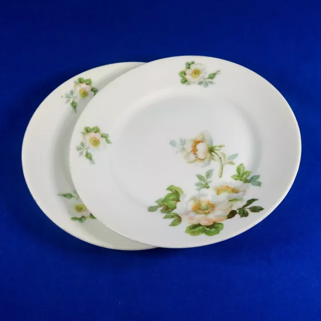 Koenigszelt Silesia Germany Wild Roses Set of 2 Vintage 1920s Dessert Plates